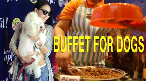 buffet for dogs manila.